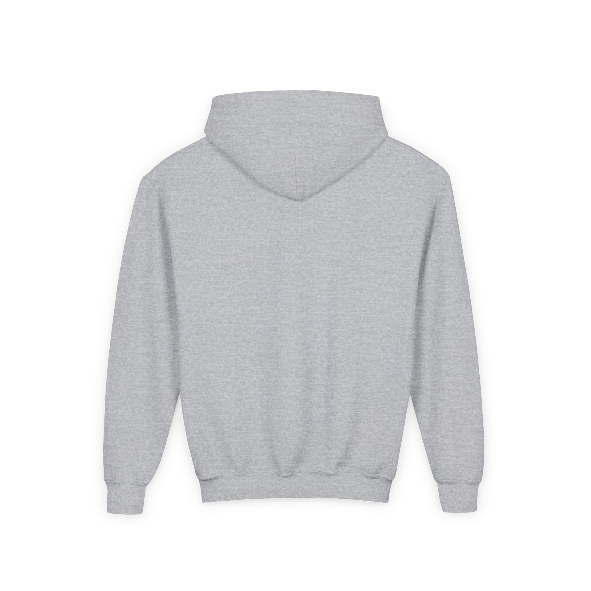 Youth Hooded Sweatshirt | Swedish Flag on Nebraska Outline