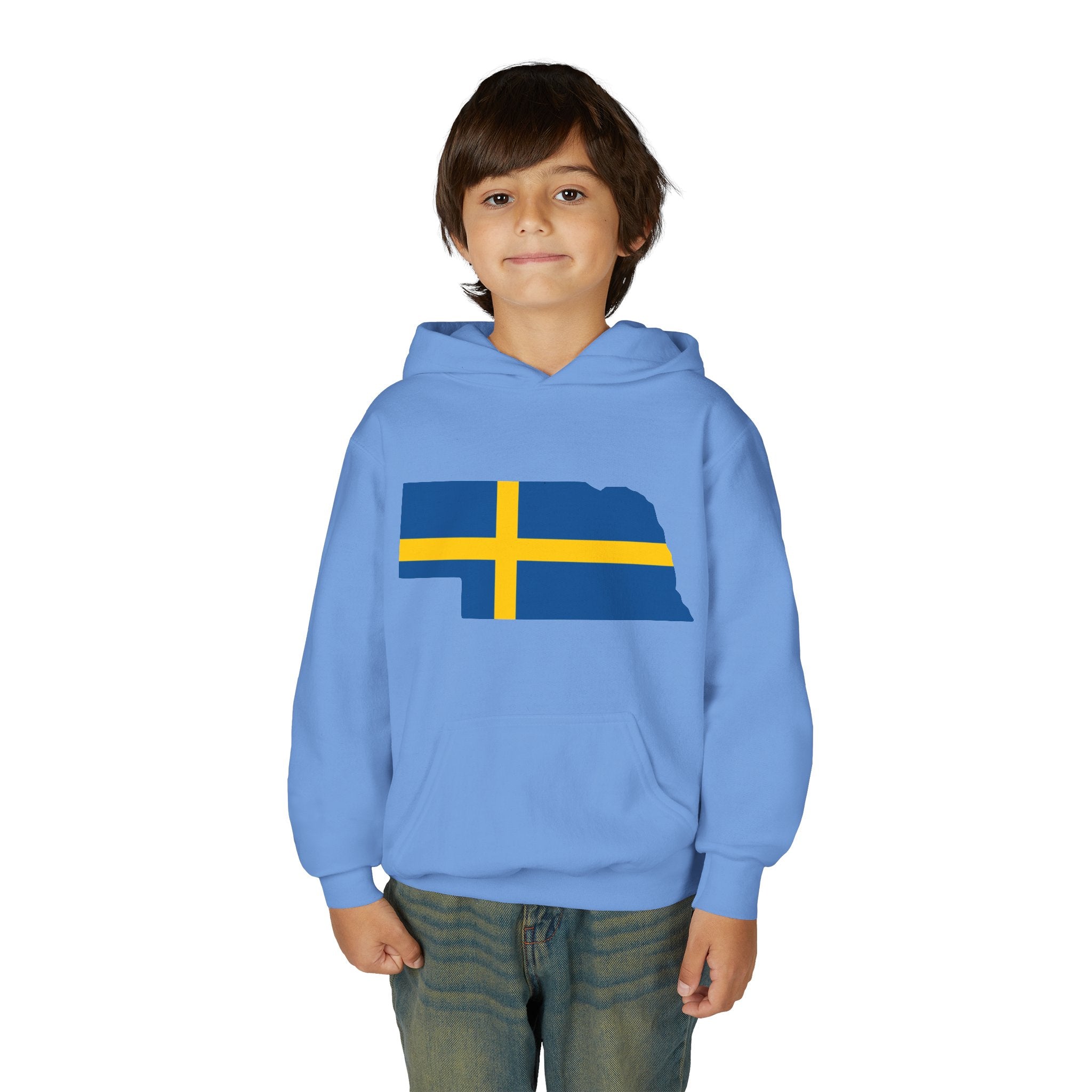 Youth Hooded Sweatshirt | Swedish Flag on Nebraska Outline