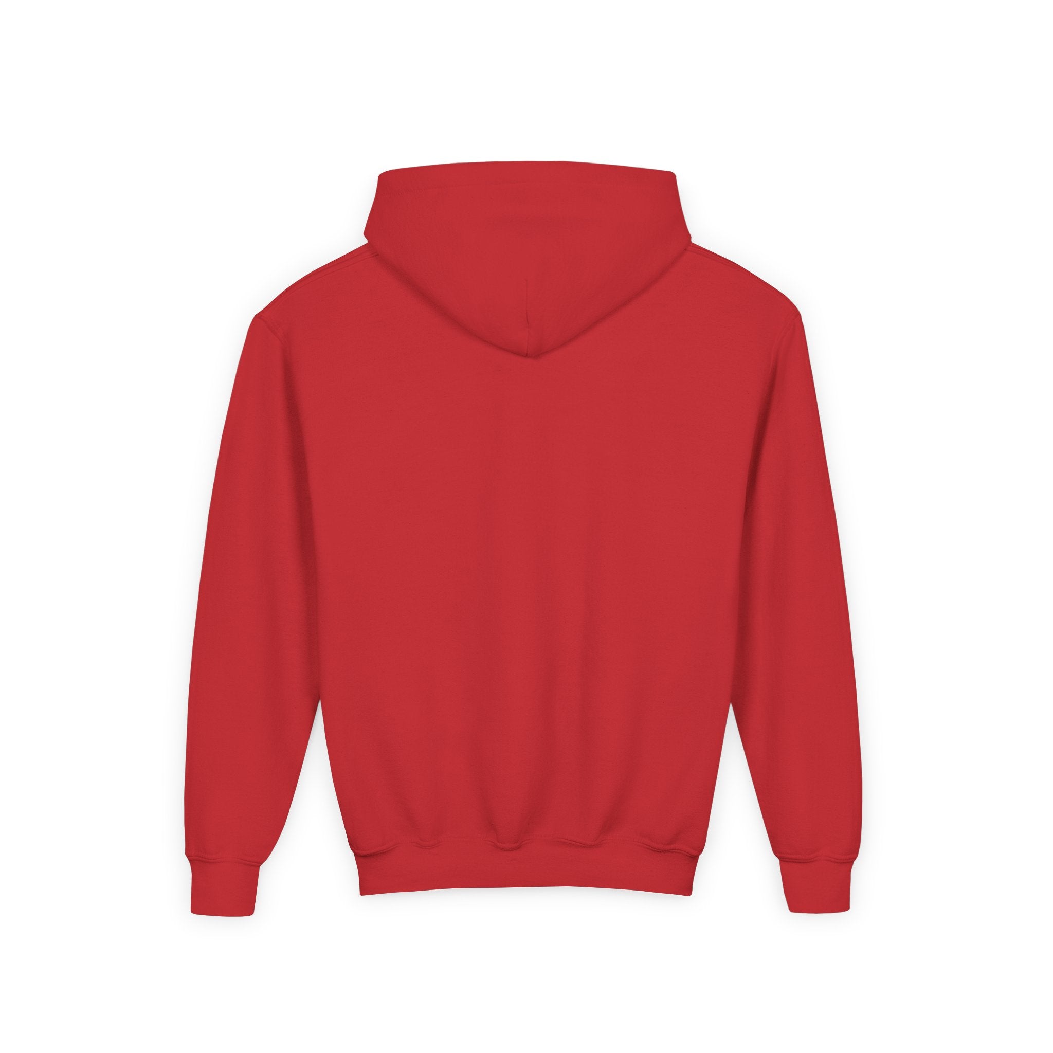 Youth Hooded Sweatshirt | Swedish Flag on Nebraska Outline