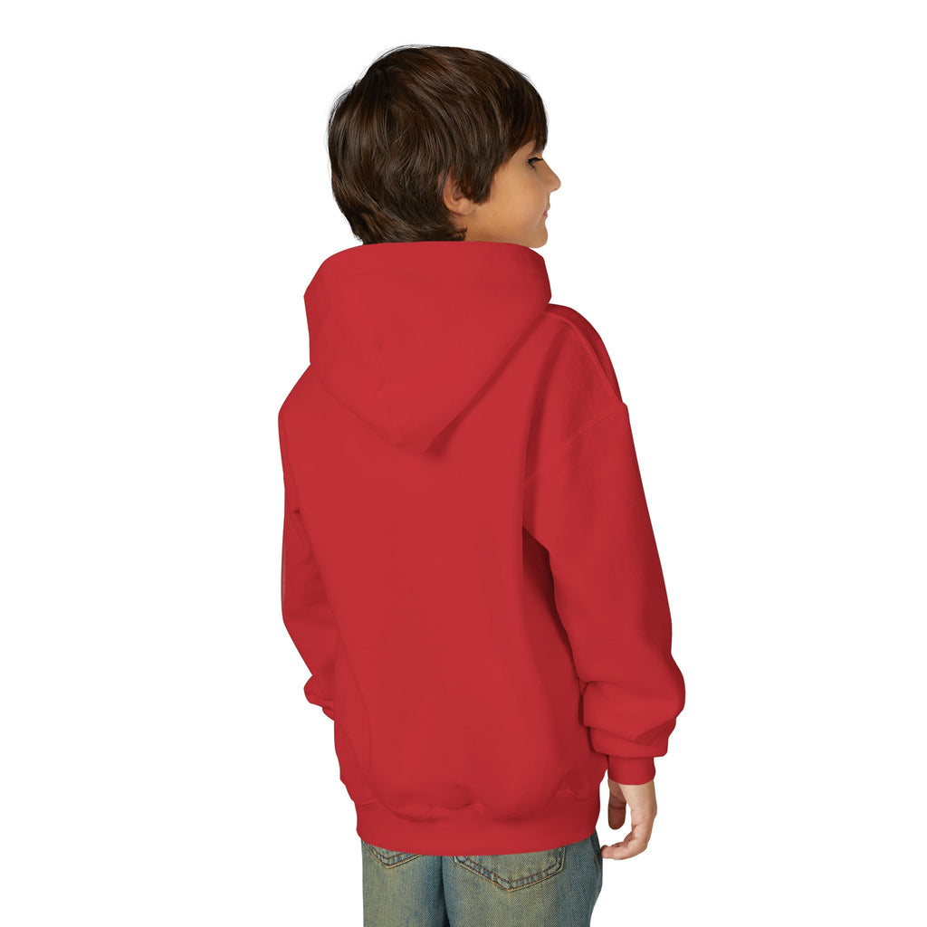 Youth Hooded Sweatshirt | Swedish Flag on Nebraska Outline