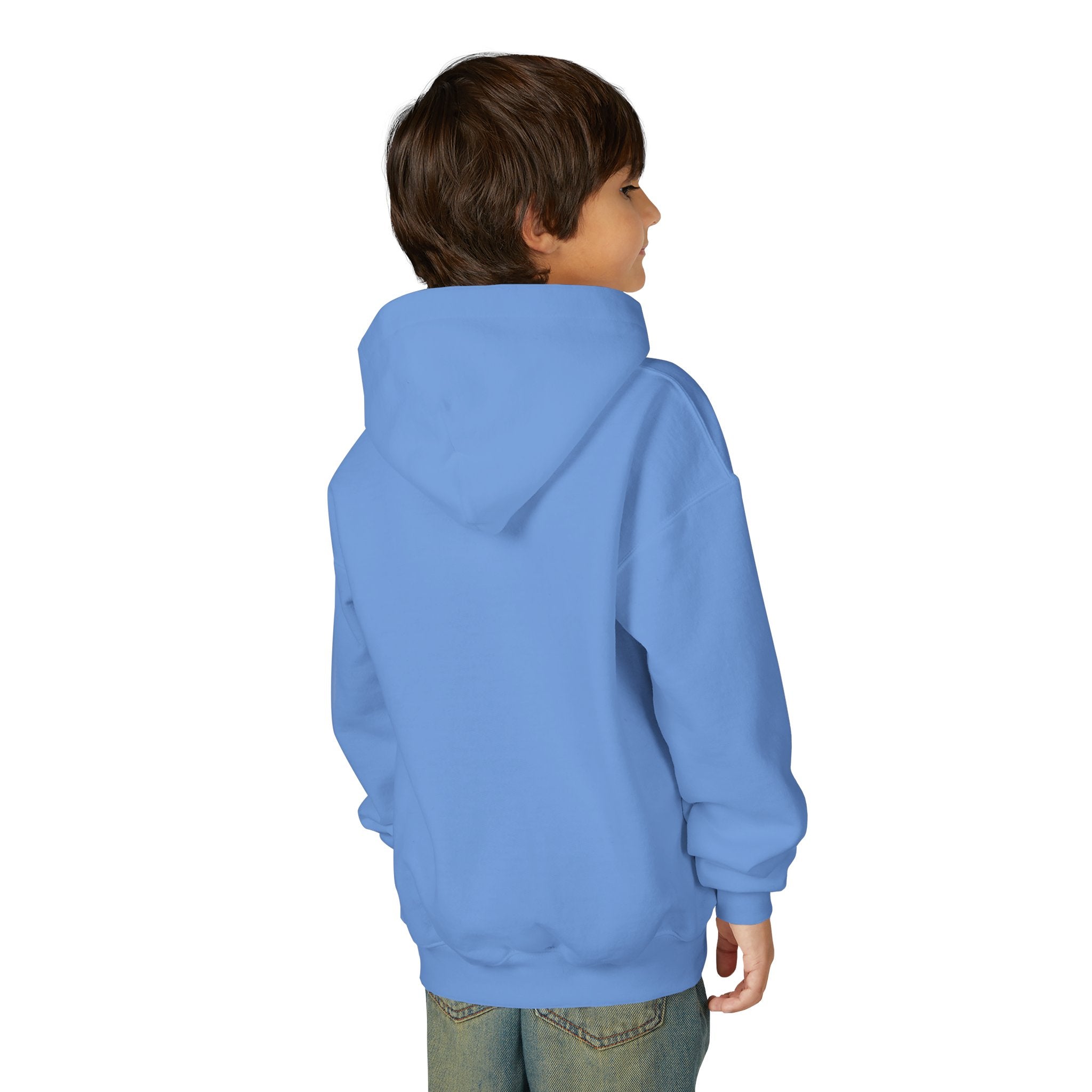 Youth Hooded Sweatshirt | Swedish Flag on Nebraska Outline