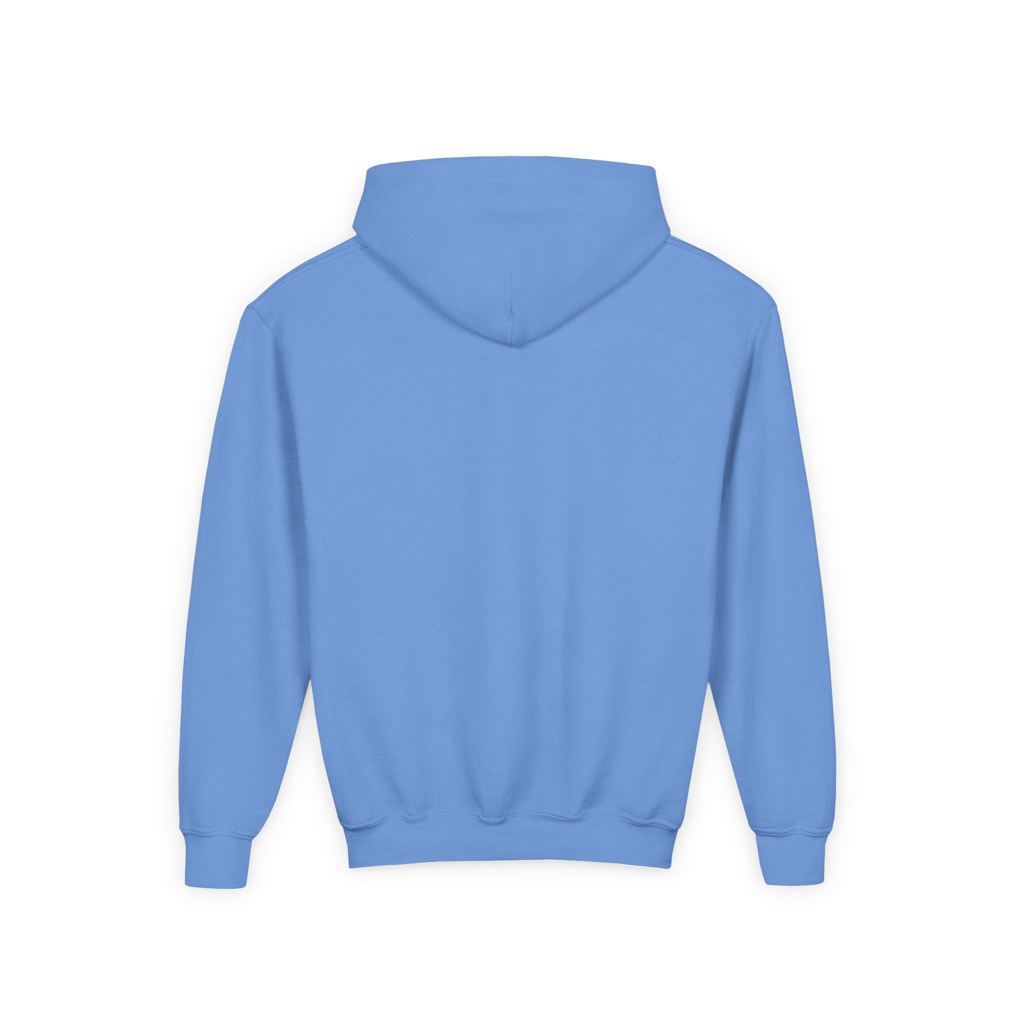 Youth Hooded Sweatshirt | Swedish Flag on Nebraska Outline