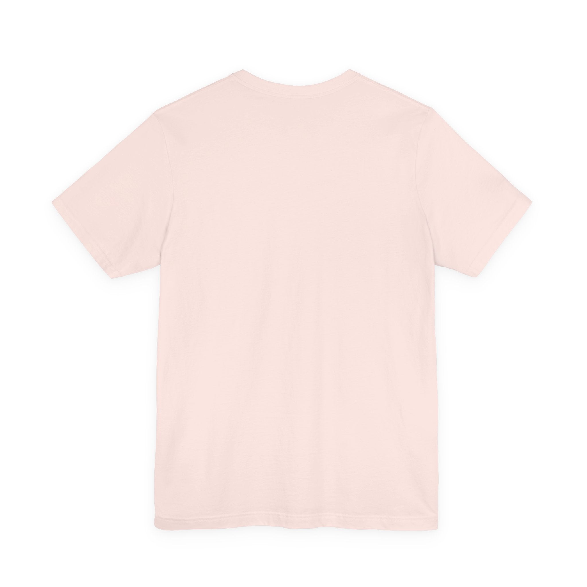 Women's T-Shirt | Swedish Flag on Nebraska Outline