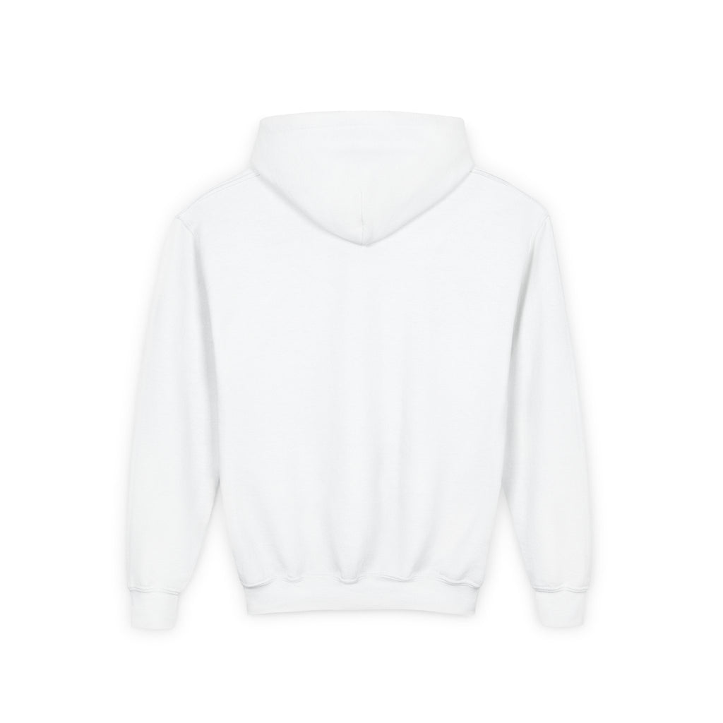 Youth Hooded Sweatshirt | Swedish Flag on Nebraska Outline