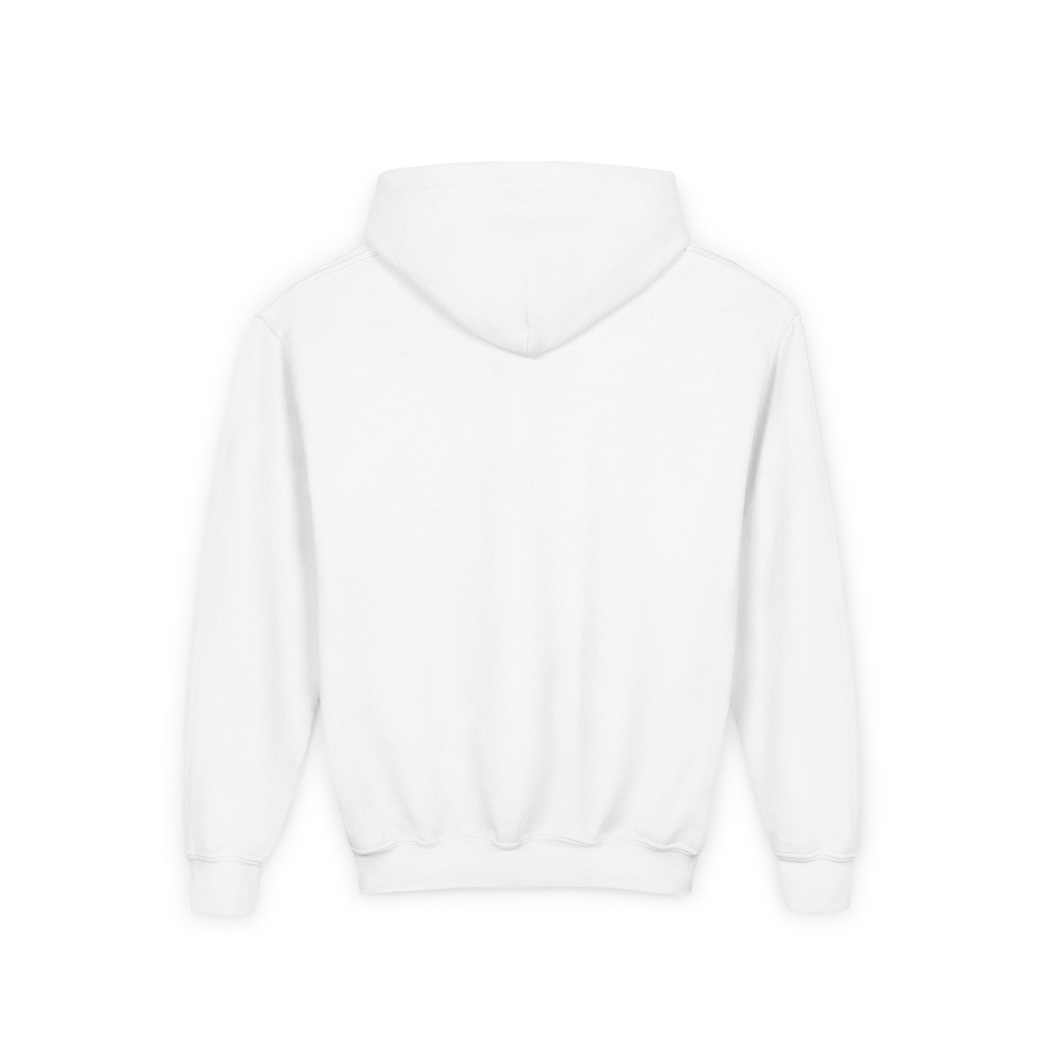 Youth Hooded Sweatshirt | Swedish Flag on Nebraska Outline