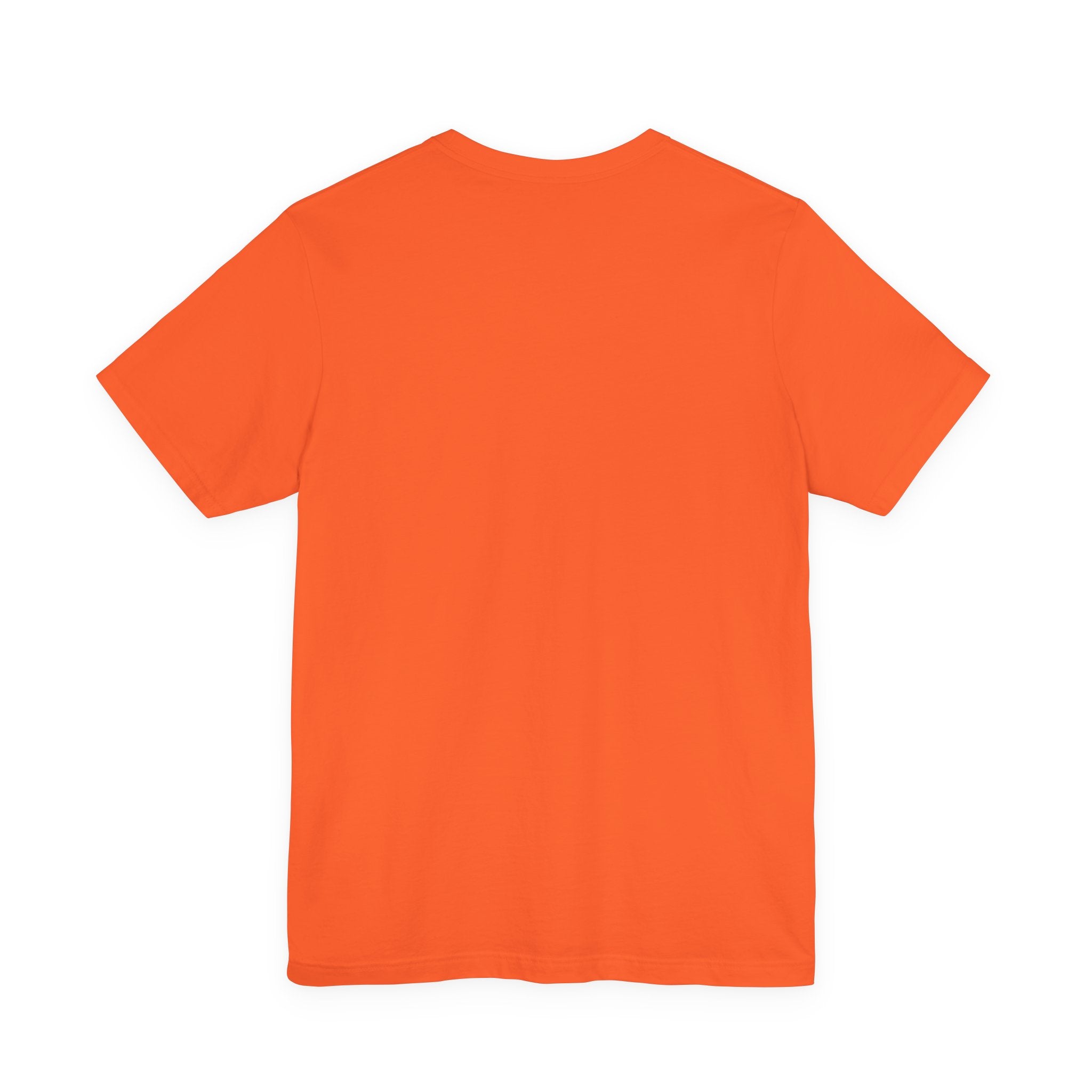 Women's T-Shirt | Swedish Flag on Nebraska Outline