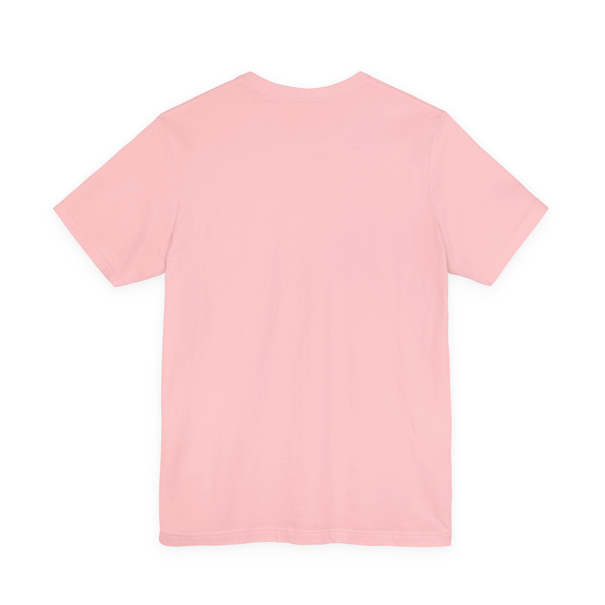 Women's T-Shirt | Swedish Flag on Nebraska Outline
