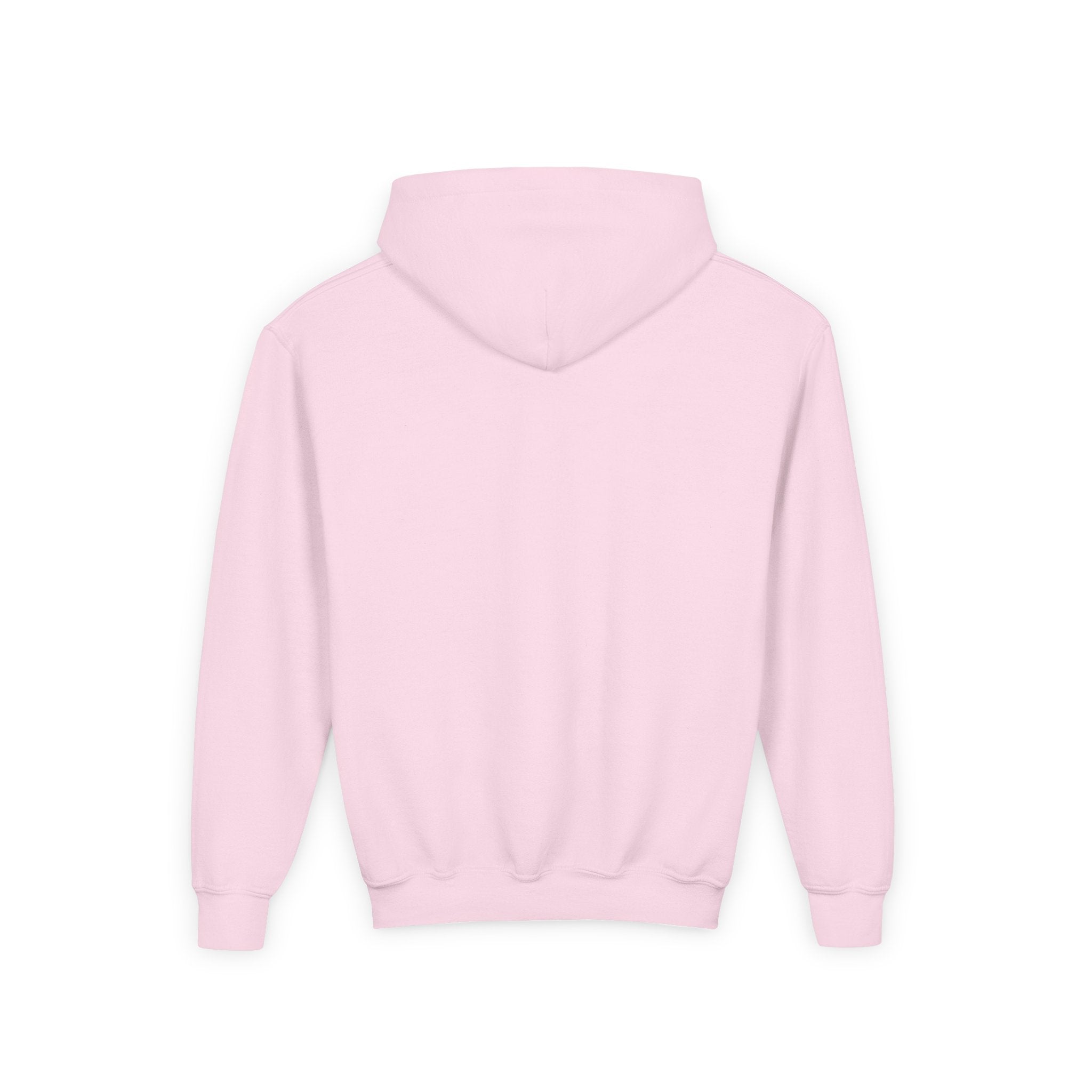 Youth Hooded Sweatshirt | Swedish Flag on Nebraska Outline